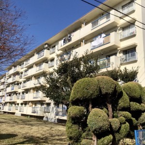 小さなコーポレーションの物件例01